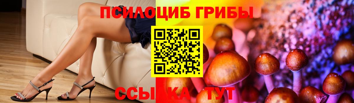 Псилоцибиновые грибы прущие грибы  Вход с VPN  Заволжье  Псилоцибиновые грибы Cubensis 
